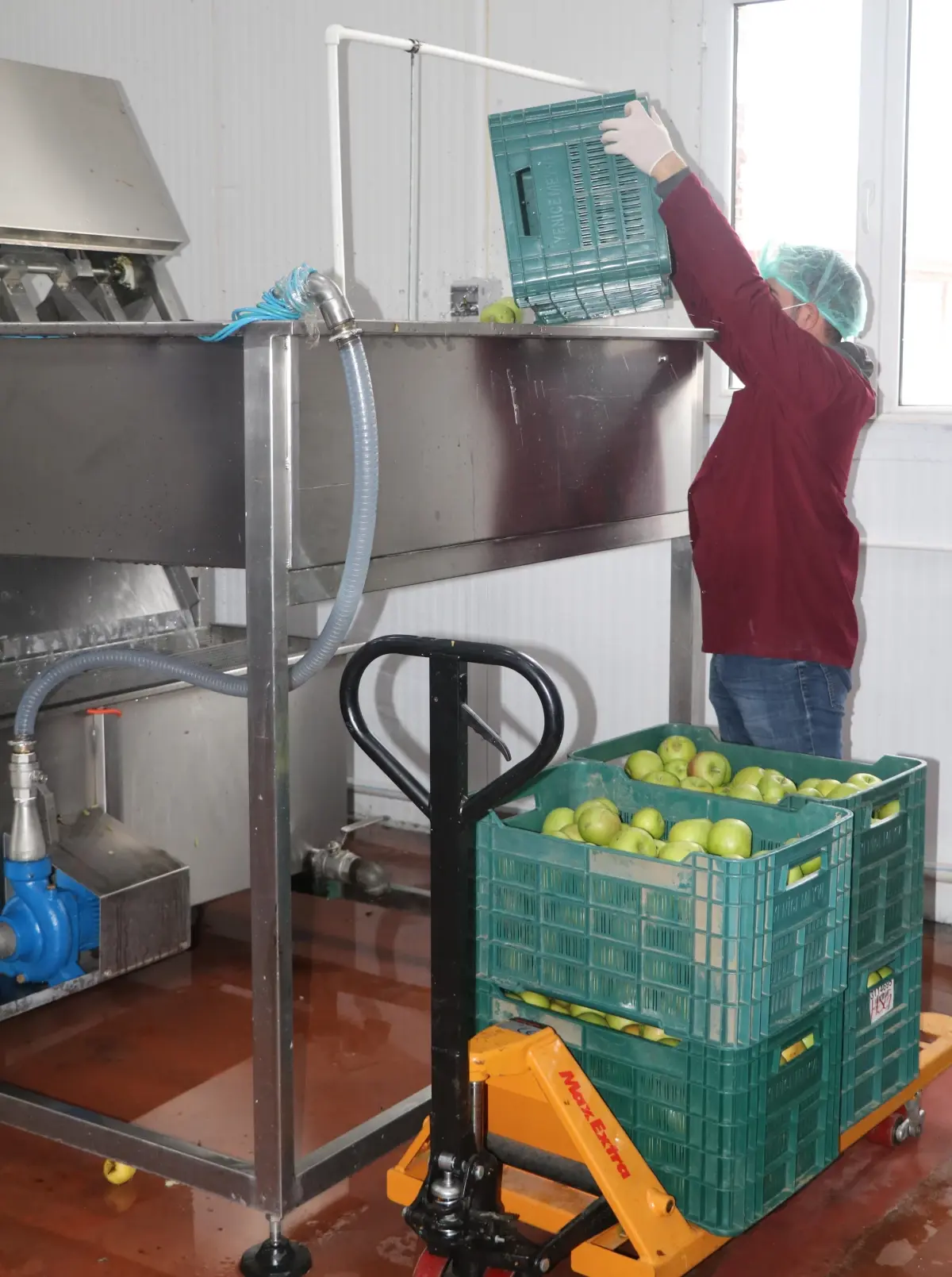 Erzincan'ın kurutulan meyveleri yurt dışı pazarında
