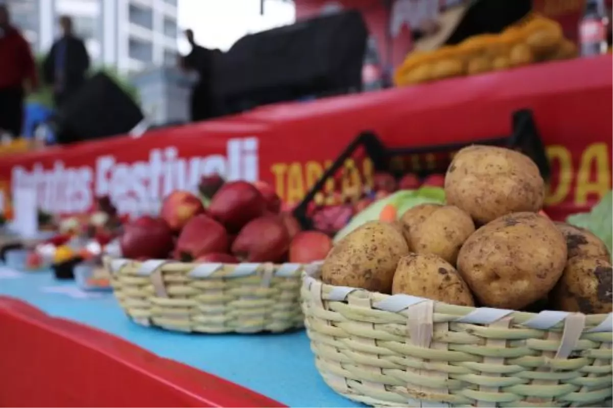 ESENLER'DE PATATES FESTİVALİ; DONDURMASINI BİLE YAPTILAR