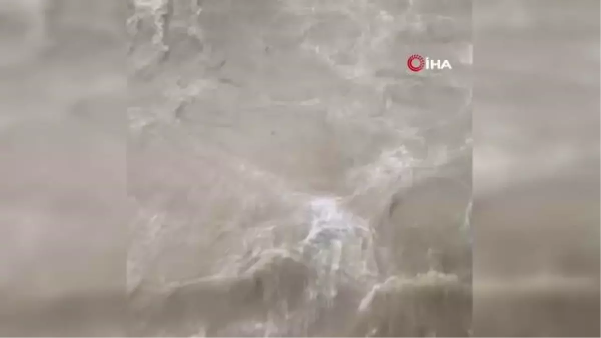 Son dakika haberleri | İzmir'i sağanak vurdu, sitelerden siren sesleri yükseldi