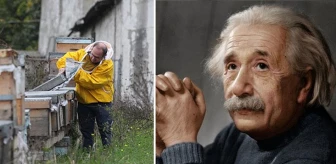 Einstein, 'Arılar yok olursa insanlığın 4 yıl ömrü kalmıştır' demişti! İstanbul'dan ürküten haber