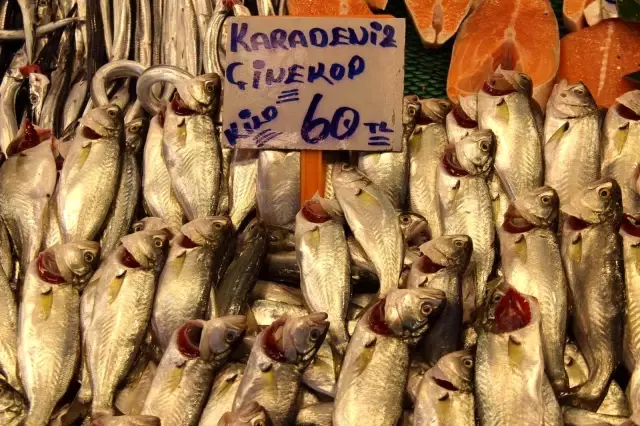 Yılın en çok tercih edilen balığı! Kilosu 80 liradan kapış kapış satılıyor Yılın en çok tercih edilen balığı! Kilosu 80 liradan kapış kapış satılıyor