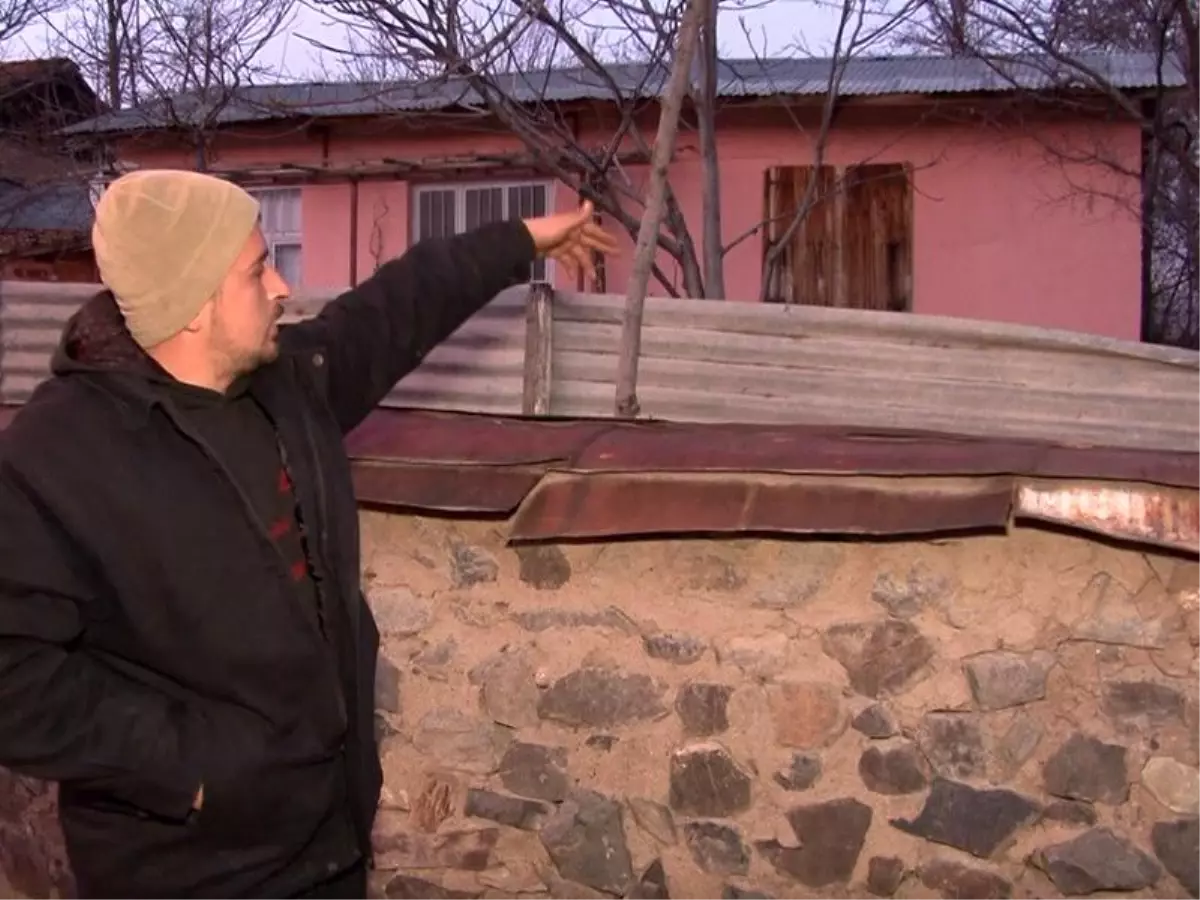 Köye inen ayılar üreticileri tedirgin ediyor