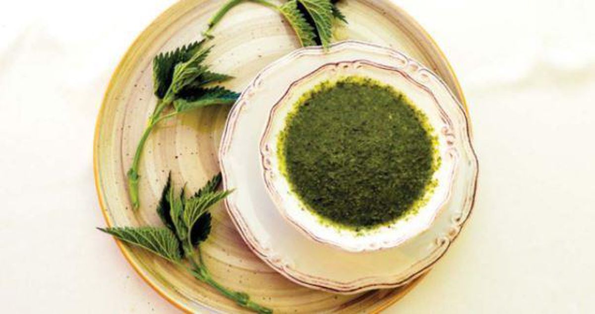 16 Aralık Masterchef yemekleri! Masterchef Isırgan Otu Çorbası tarifi! Isırgan Otu Çorbası nasıl yapılır? Isırgan Otu Çorbası tarifi nedir?