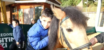 Atlı terapi eğitimleri Gebze'ye ödül getirdi
