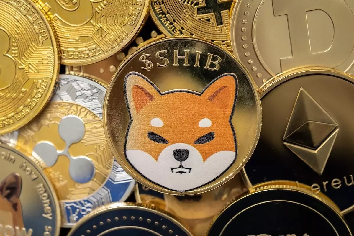 EverGrow Coin ve HUH Token potansiyel altcoinlere yeni nesil çözüm