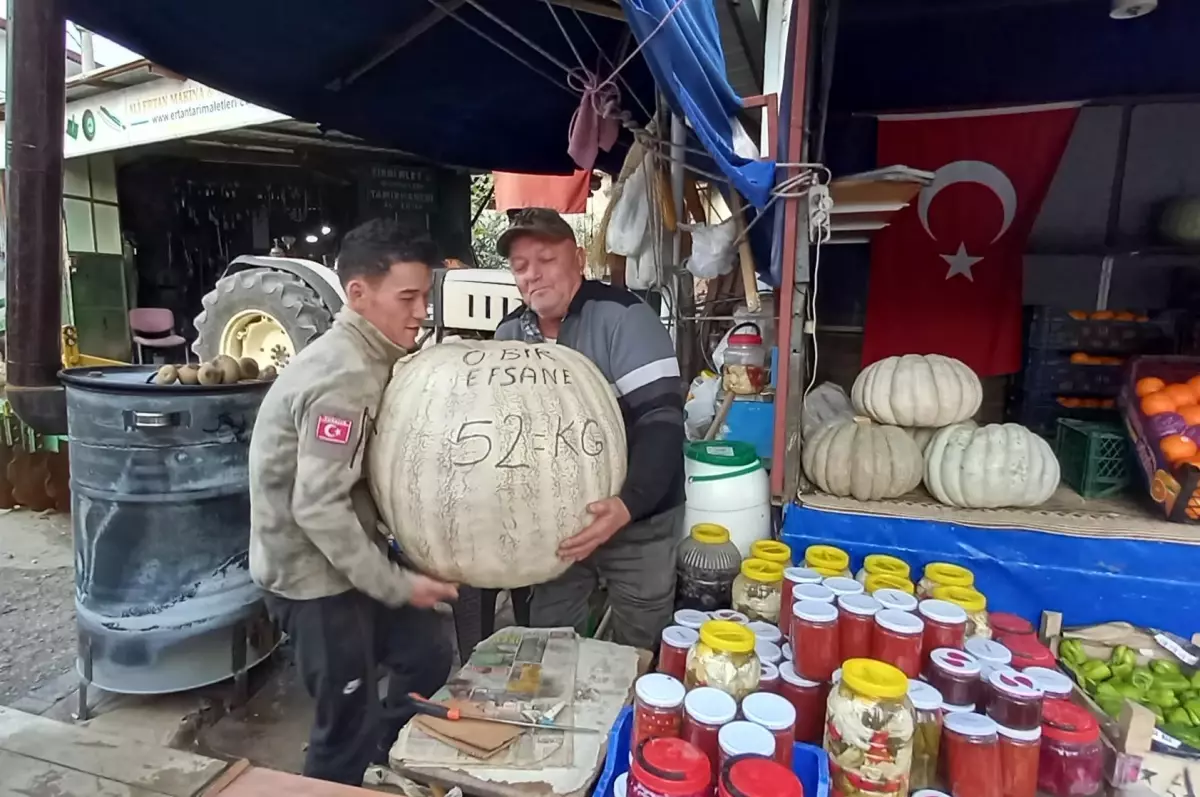 Mudanyalı çiftçi tarlasında 52 kilogram ağırlığında bal kabağı yetiştirdi