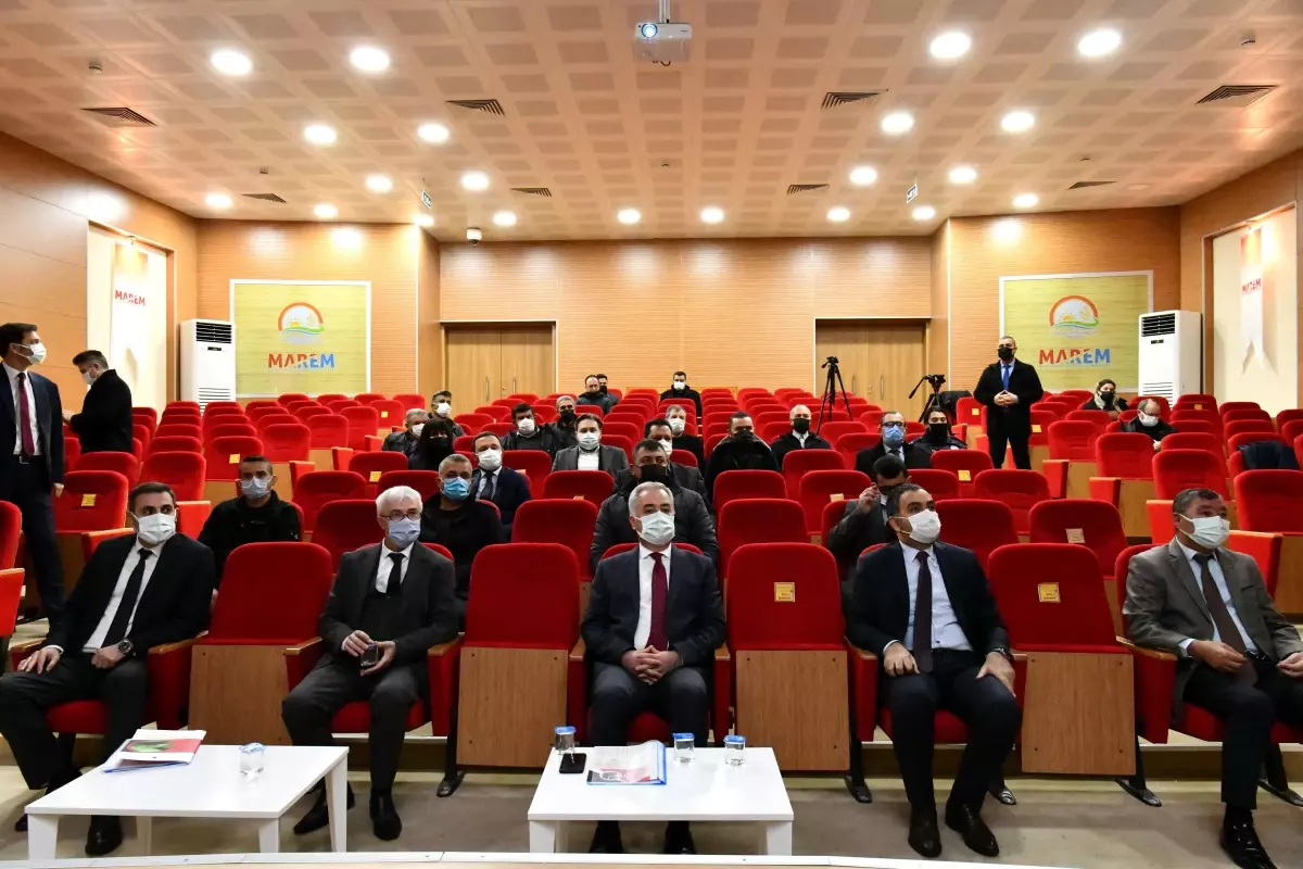 Elma İç Kurduna Feromonlu Çözüm