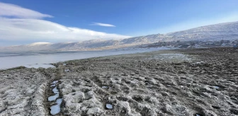 Son dakika gündem: İklim değişikliği pelikanların yuvası Aktaş Gölü'nde su seviyesini düşürdü
