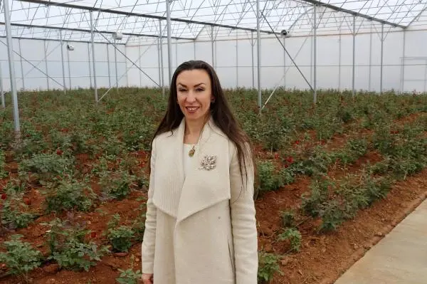 Kırgızistanlı Leyla, devlet desteği ile kesme gül serası kurdu