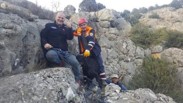 HES kanalına düşen araçtaki 2 kişi ve kurtarma çalışmasında yamaçtan düşen 1 personel hayatını kaybetti