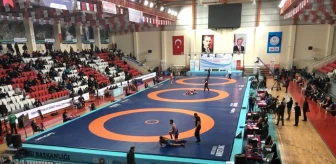 Erzincanlı güreşçiler Türkiye Serbest Güreş Şampiyonasında ter döktü