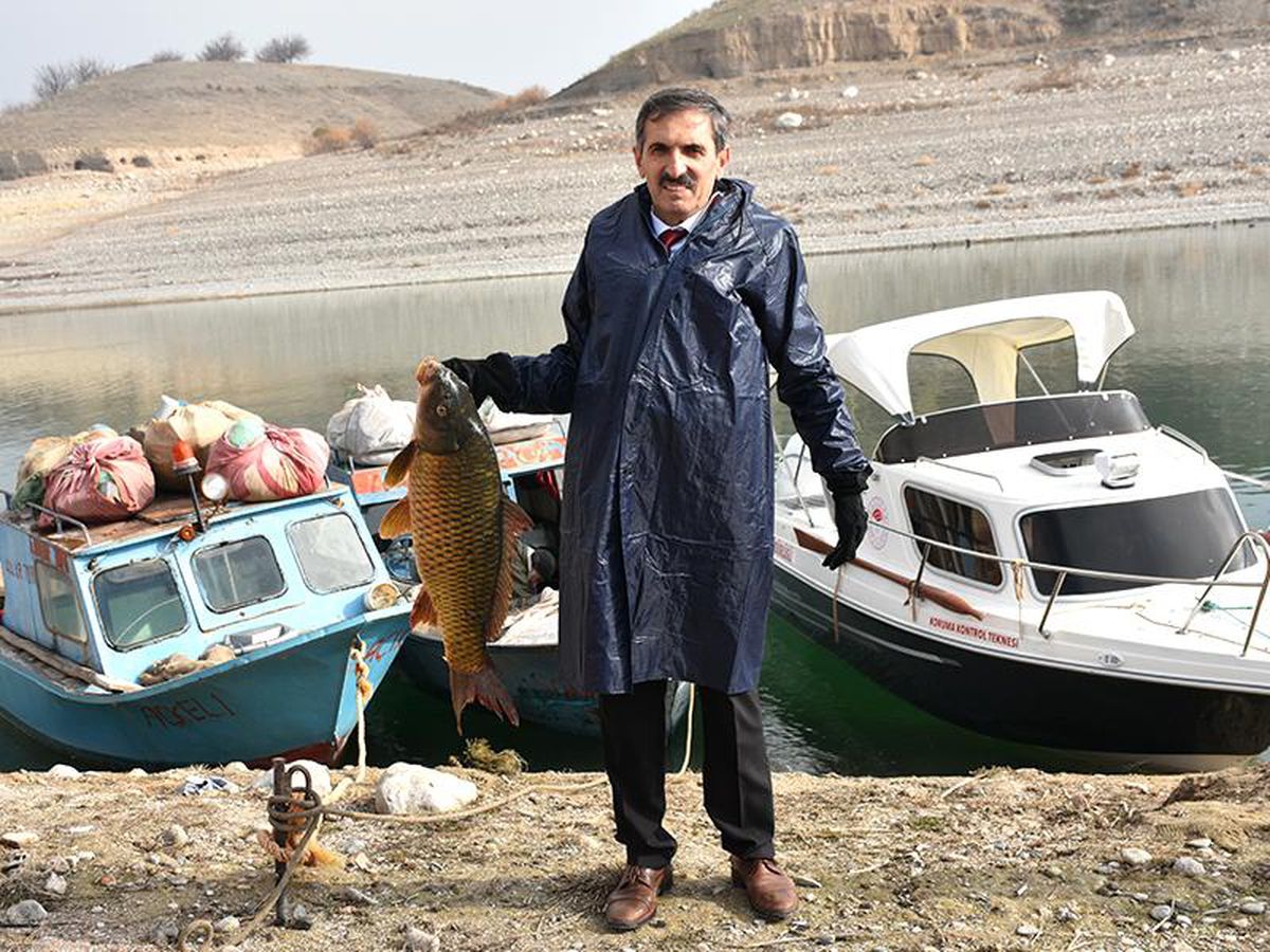 Karakaya Baraj Gölü'nde avlanan balıklar ihraç ediliyor