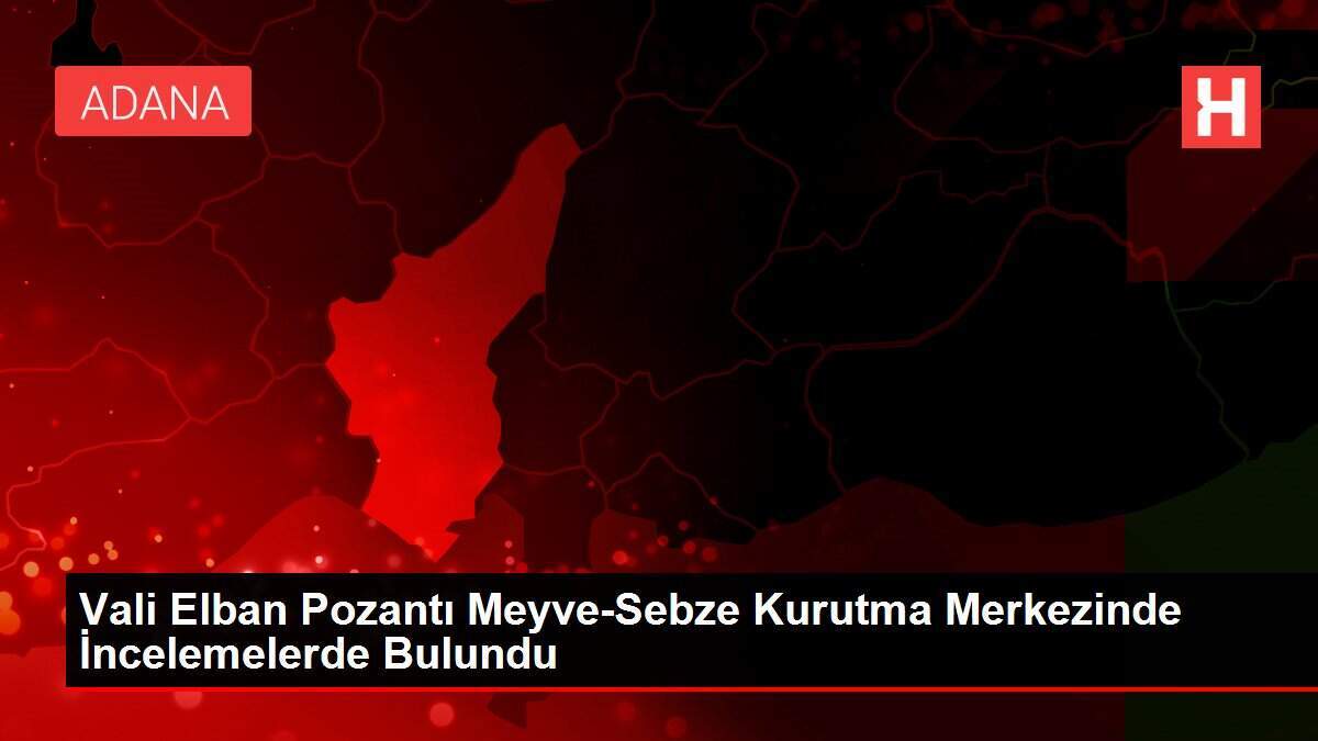 Vali Elban Pozantı Meyve-Sebze Kurutma Merkezinde İncelemelerde Bulundu