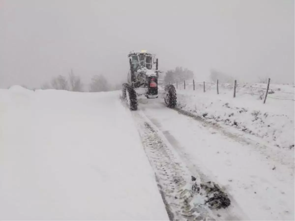 Doğu Karadeniz'de kar esareti; 366 yol kapandı