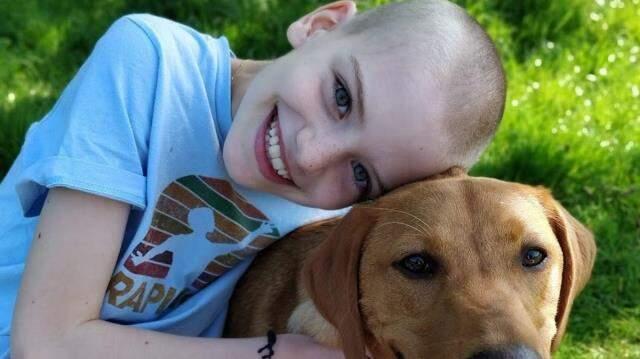 Evde küçük kızın üzerine atlayan köpek, acı gerçeği gün yüzüne çıkardı