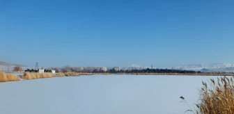 Son dakika haber! Sivas'ta Ulaş Gölü'nün yüzeyi buz tuttu