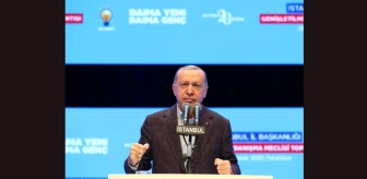 Cumhurbaşkanı Erdoğan: Bu millet için ne yapsak, bu ülkeye hangi hizmeti versek azdır