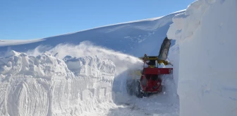 Doğu Anadolu'da kapalı yollar karla mücadele ekiplerince açılıyor
