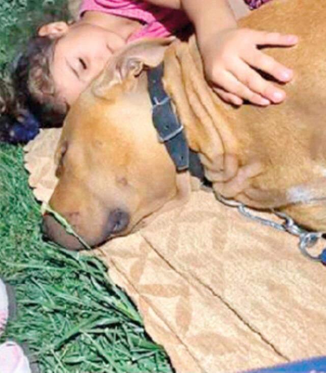 Minik Asiye'nin saldırıdan dakikalar önceki görüntüleri ortaya çıktı! Köpeklere sarılıp böyle oynamış