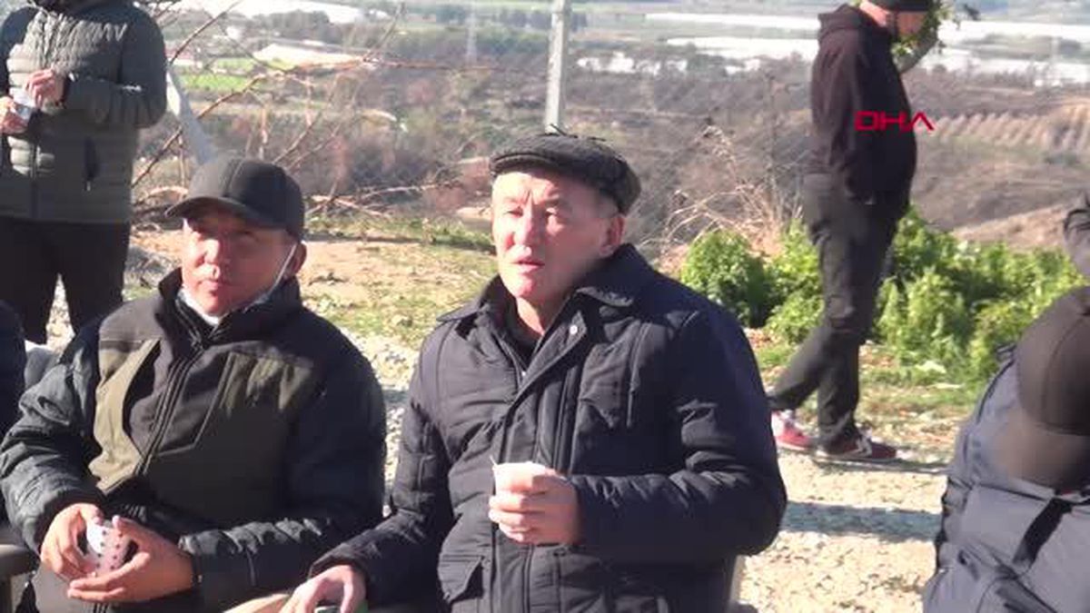 FAO ÜYESİ ÜLKELERDEN ORMANCILAR MANAVGAT'TA YANAN ORMANLARI İNCELEDİ