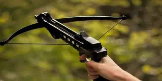 Kraliçe Elizabeth'i öldürmek için Windsor Kalesi'ne girmeye çalışan arbaletli suikastçının videosu ortaya çıktı