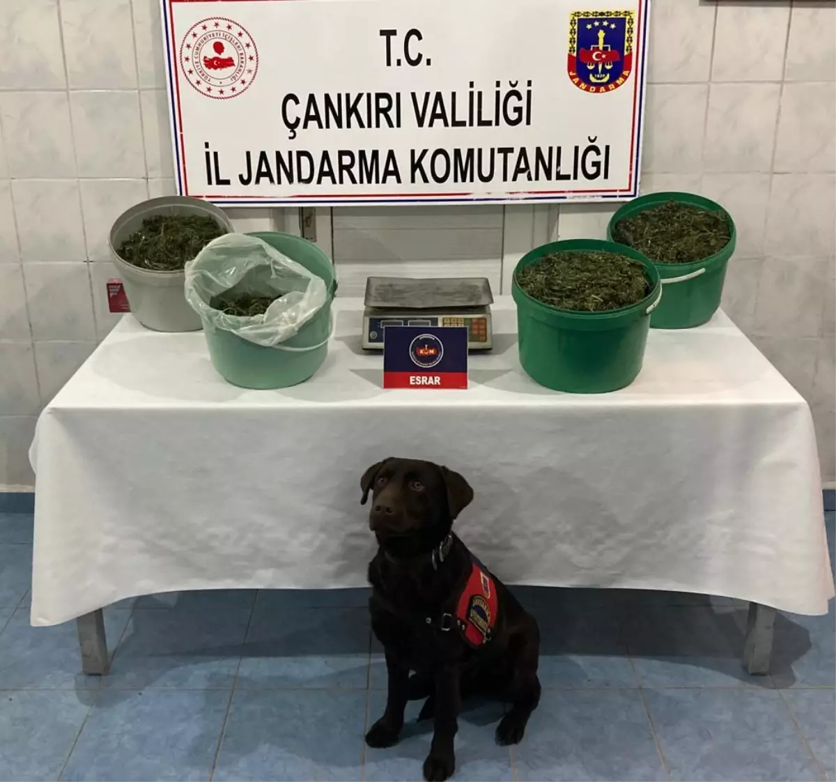 Çankırı'da geniş çaplı kaçak içki ve uyuşturucu operasyonu: 6 gözaltı