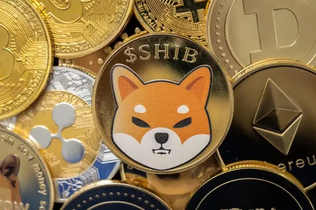 Kripto dünyasının yeni yıl sevinci: HUH Token, Shiba Inu ve Safemoon