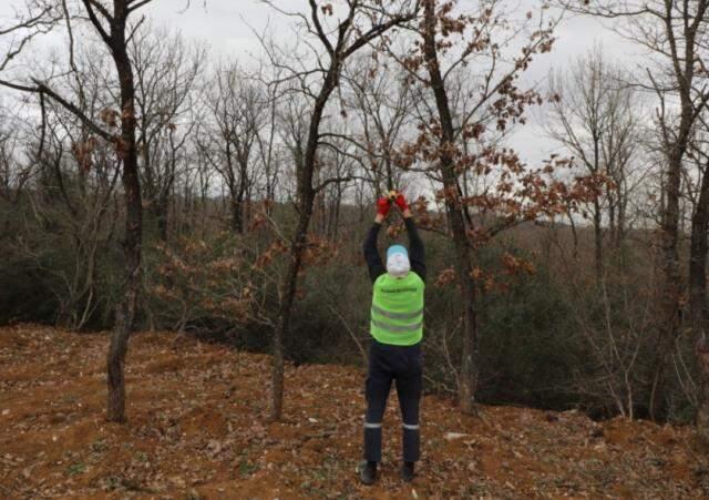 Dilovası'nda Osmanlı geleneği yaşatılıyor! Hayvanların aç kalmamaları için ağaçlara meyveler asıldı Dilovası'nda Osmanlı geleneği yaşatılıyor! Hayvanların aç kalmamaları için ağaçlara meyveler asıldı
