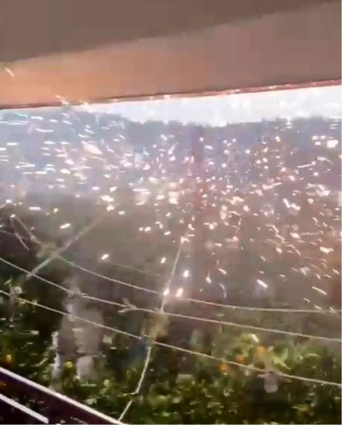 Kemer'de rüzgardan aşınan elektrik telleri patladı