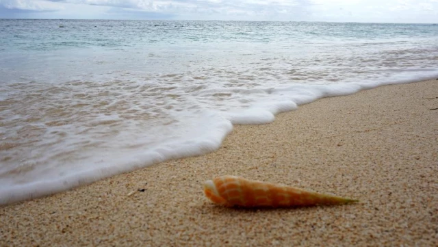 mauritius neden deniz kabuklarini kaybediyor 4 14633445 o