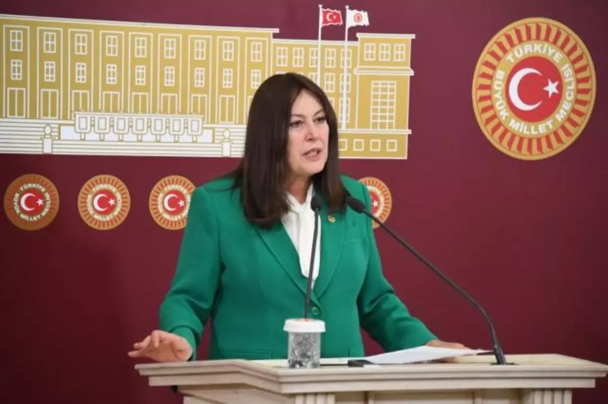 Şenol Sunat kimdir? Şenol Sunat akademik kariyeri, Şenol Sunat siyasi kariyeri..