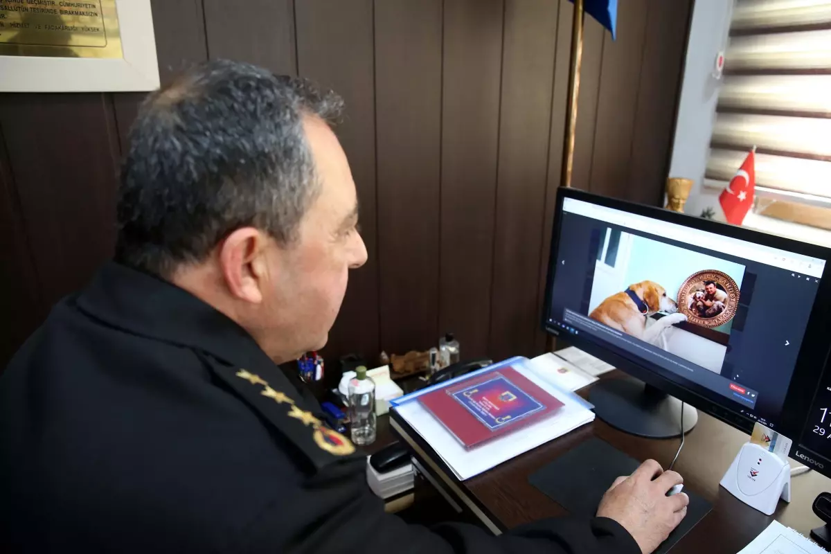 Tokat Cumhuriyet Başsavcısı ve İl Jandarma Komutanı AA'nın 'Yılın Fotoğrafları' oylamasına katıldı