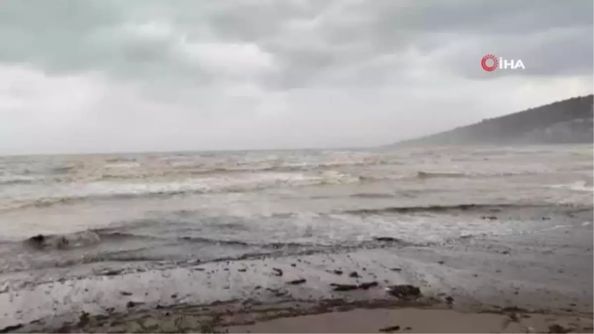 'Kırmızı Kod' uyarısı verilen Finike'de deniz kahverengiye döndü
