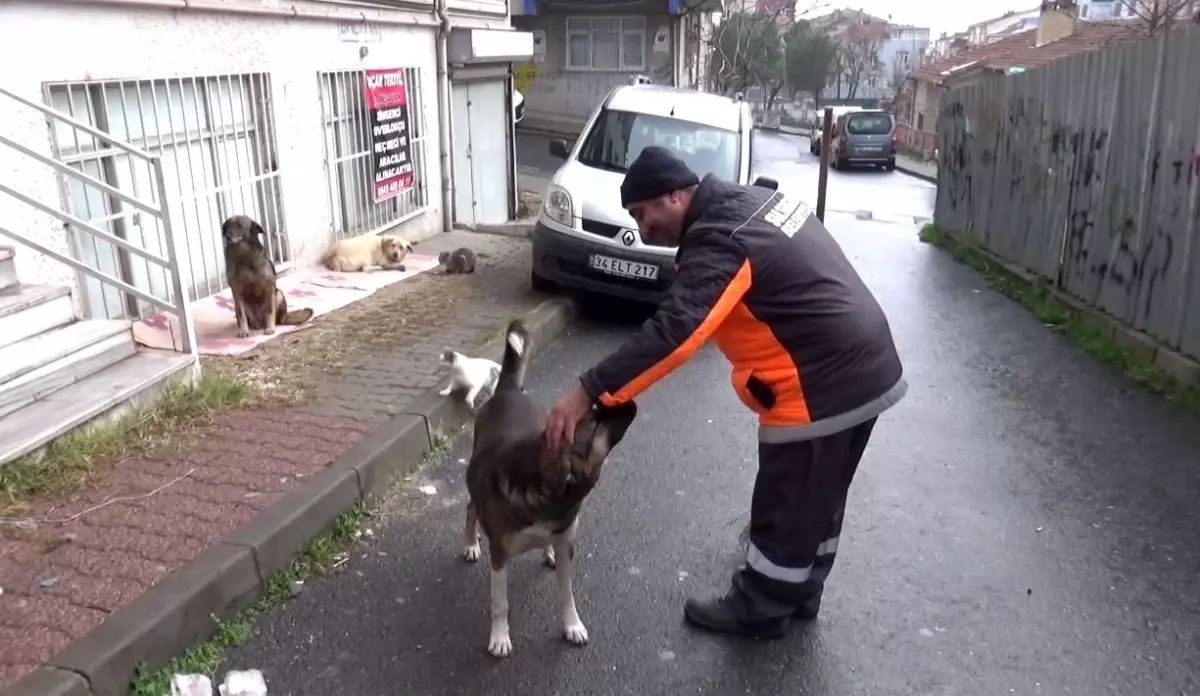 Sultangazi'de temizlik işçisi ile köpeğin dostluğu yürek ısıttı