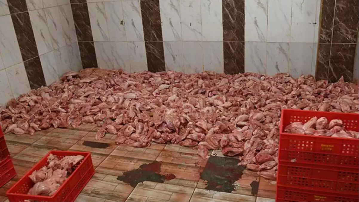 Yılbaşı gecesi sofralarımıza getireceklerdi! 2 ton sağlıksız tavuk etinin hepsine el konuldu