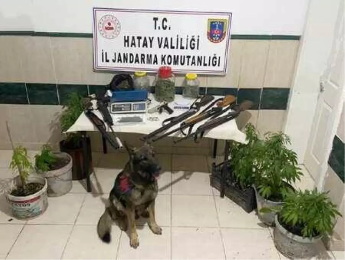 Son dakika haberi... Hatay'da uyuşturucu operasyonuna 2 gözaltı