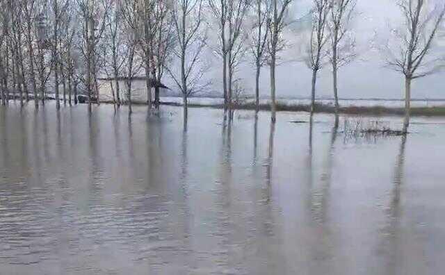 Meriç Nehri'nde taşkın alarmı! Köy halkı tarım arazilerinde kayıkla geziyor