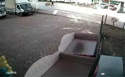 Sokak köpekleri 10 yaşındaki çocuğa saldırdı! Korku dolu anlar kameraya yansıdı Sokak köpekleri 10 yaşındaki çocuğa saldırdı! Korku dolu anlar kameraya yansıdı