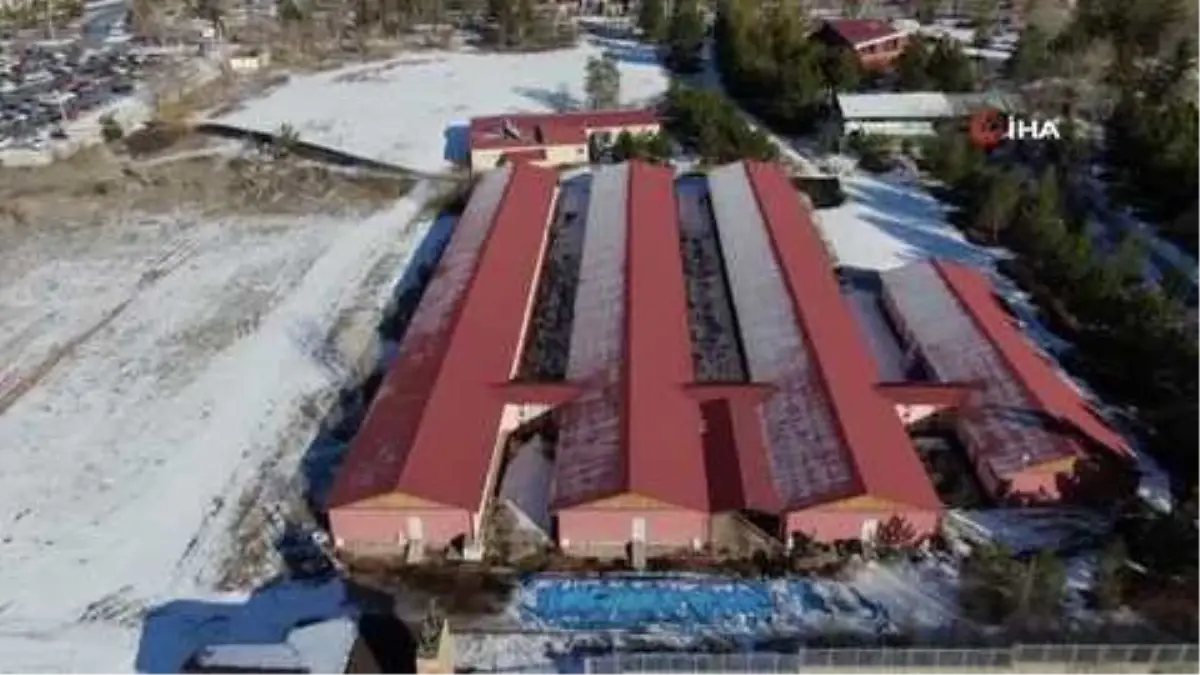 Kadınlar solucanla güzelleşecek