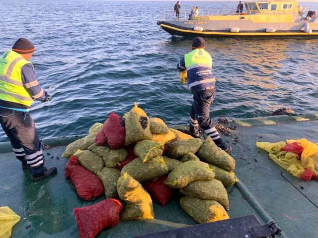 Kaçak avlanan 5 ton kara kıllı midye denize bırakıldı