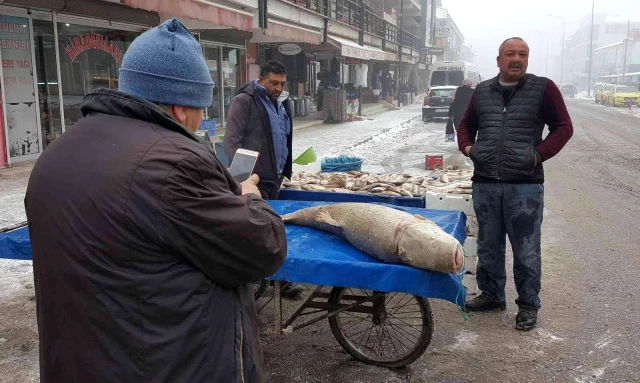 Erzincan'da yakalanan dev turna balığı görenleri şaşkına çevirdi!