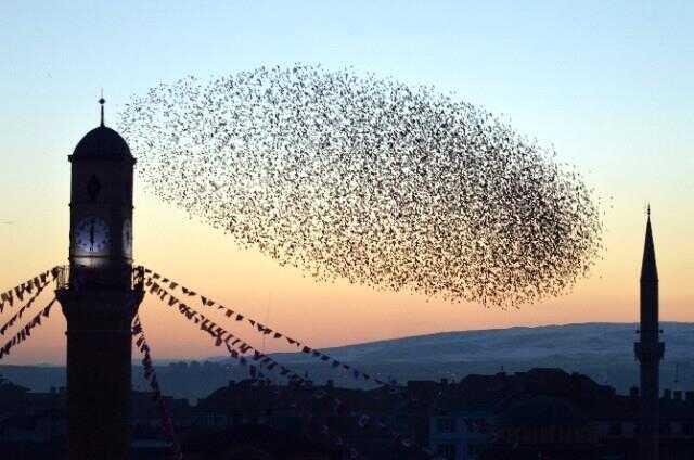 Muhyiddin İbnü'l-Arabî'nin 2022 yılı kehanetleri tüyler ürpertti! Muhyiddin İbnü'l-Arabî'nin 2022 yılı kehanetleri tüyler ürpertti!