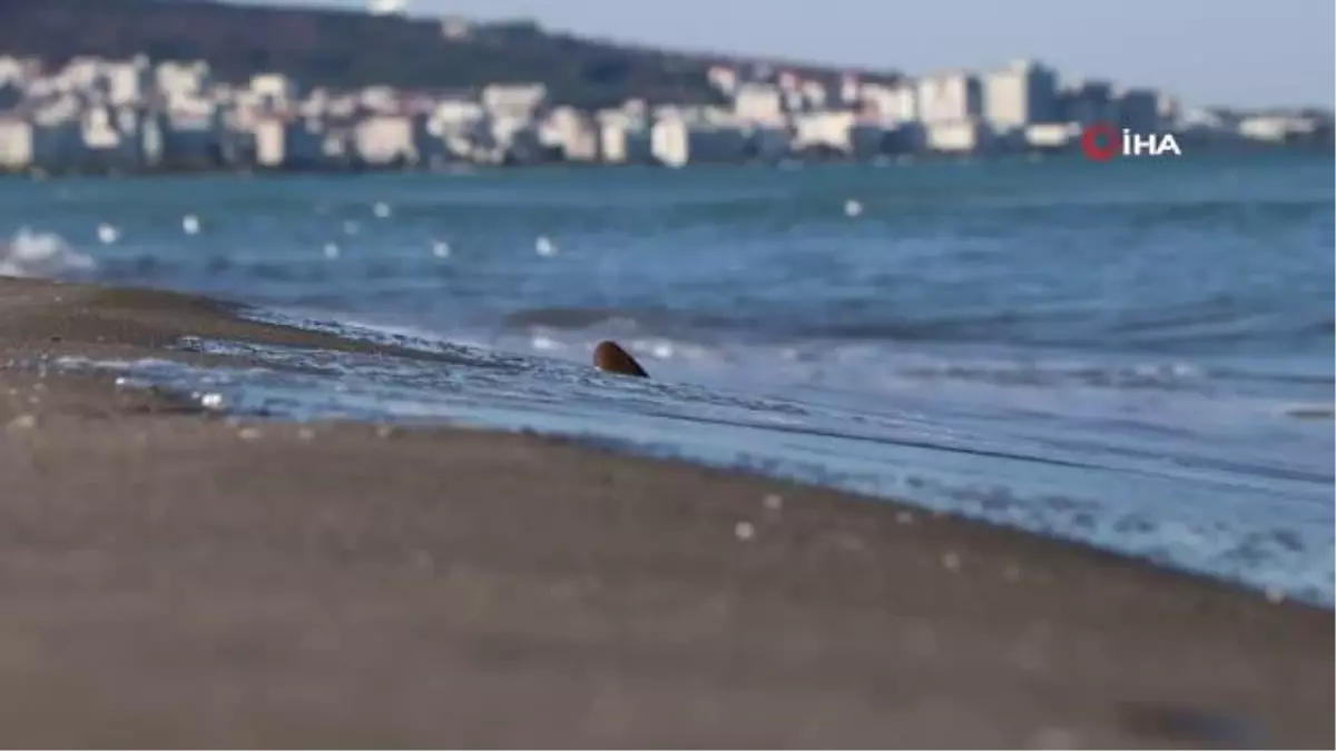 Samsun'da sıcaklık havayı gören vatandaşlar sahile akın etti