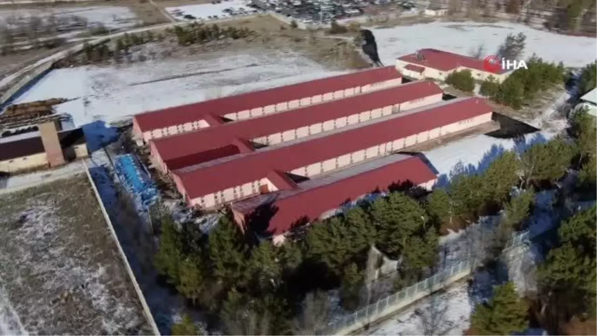 Solucan gübresi rekolte ve kaliteyi yüzde 60 artırdı