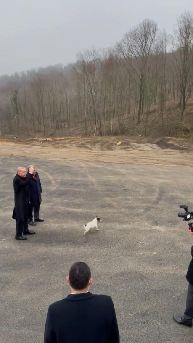 Cumhurbaşkanı Erdoğan'ın hayvan barınağı ziyaretinden renkli anlar! Maylo ile oynadı