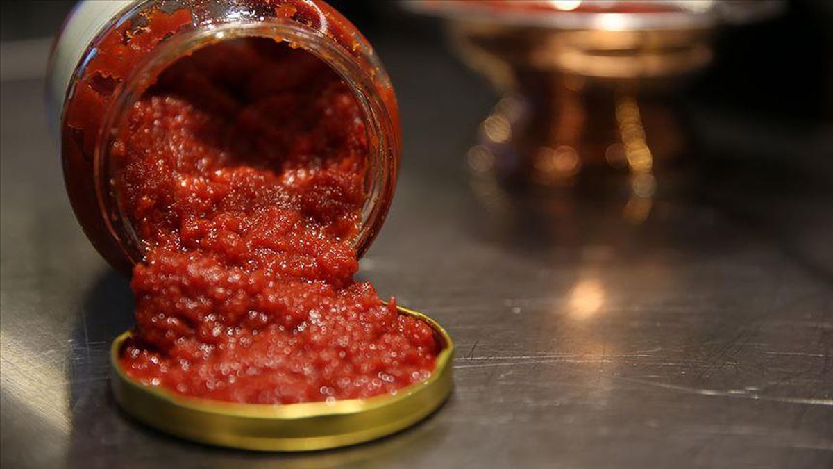 Hayvar fiyatı ne kadar? Havyar neden pahalı? Havyar nedir, yemek helal mi, haram mı?