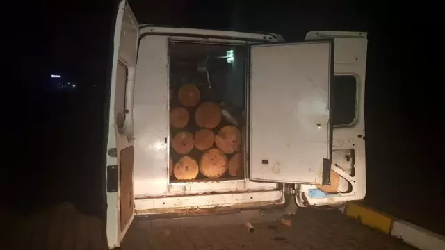 Kaçak kestikleri ağaçlarla birlikte yakalandılar