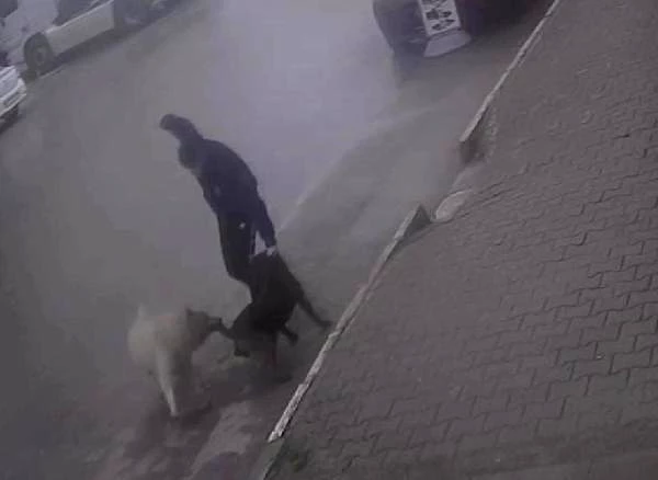 Son dakika haber | Köpeğine saldıran sokak <a title=
