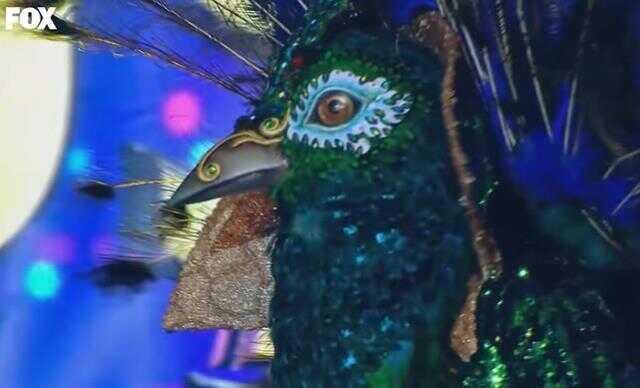 Maske Kimsin Sen Tavus Kuşu kimdir? Tavus Kuşu maskesinin altındaki ünlü açıklandı mı, tahminleri kim? Maske Kimsin Sen Tavus Kuşu gerçek ismi nedir?