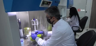 Sivas'ta üretilen Covit19 PCR tanı kitleri Avrupa ve Afrika'da kullanılıyor